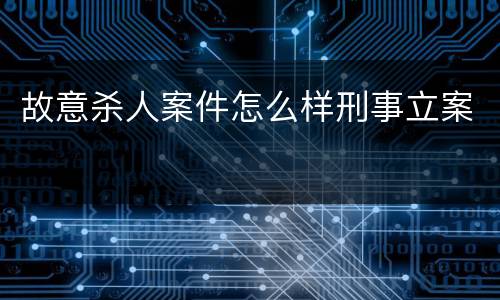 故意杀人案件怎么样刑事立案