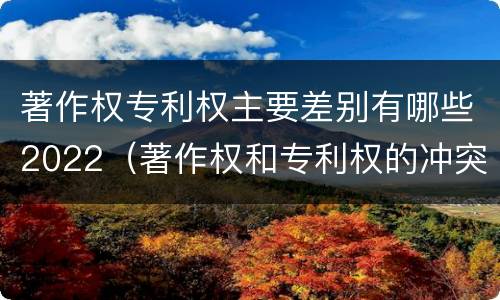著作权专利权主要差别有哪些2022（著作权和专利权的冲突）