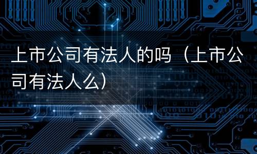 上市公司有法人的吗（上市公司有法人么）
