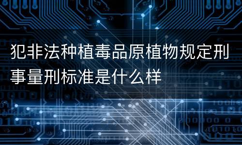 犯非法种植毒品原植物规定刑事量刑标准是什么样