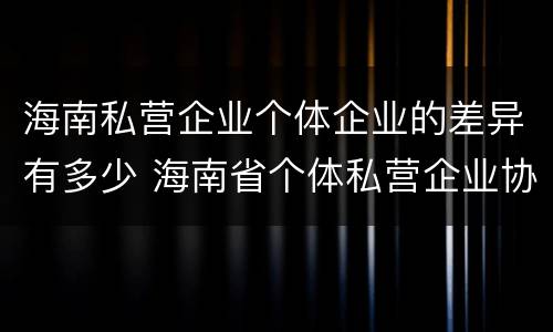 海南私营企业个体企业的差异有多少 海南省个体私营企业协会
