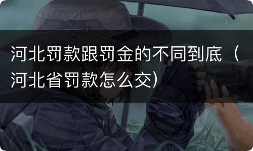 河北罚款跟罚金的不同到底（河北省罚款怎么交）