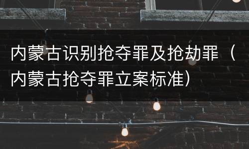 内蒙古识别抢夺罪及抢劫罪（内蒙古抢夺罪立案标准）