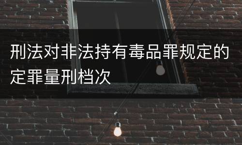 刑法对非法持有毒品罪规定的定罪量刑档次