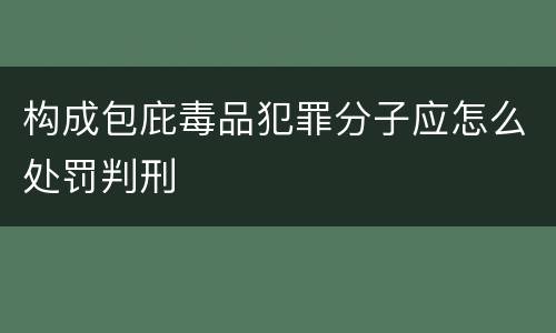 构成包庇毒品犯罪分子应怎么处罚判刑