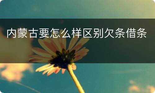 内蒙古要怎么样区别欠条借条