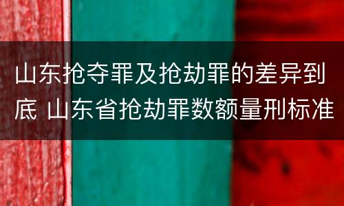 山东抢夺罪及抢劫罪的差异到底 山东省抢劫罪数额量刑标准