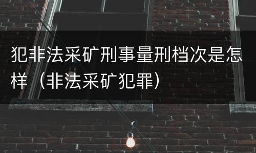 犯非法采矿刑事量刑档次是怎样（非法采矿犯罪）