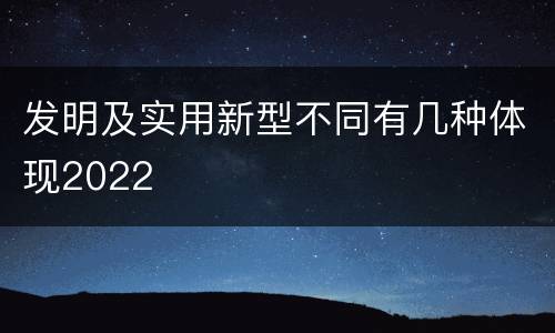 发明及实用新型不同有几种体现2022
