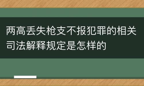 两高丢失枪支不报犯罪的相关司法解释规定是怎样的