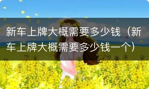 新车上牌大概需要多少钱（新车上牌大概需要多少钱一个）