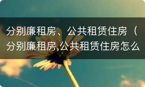 分别廉租房、公共租赁住房（分别廉租房,公共租赁住房怎么分配）