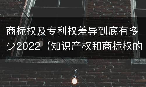 商标权及专利权差异到底有多少2022（知识产权和商标权的区别）