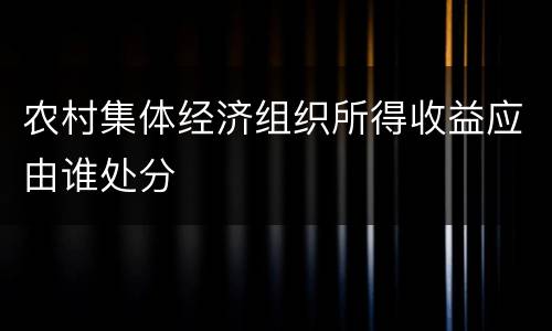 农村集体经济组织所得收益应由谁处分