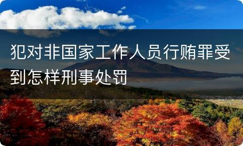 犯对非国家工作人员行贿罪受到怎样刑事处罚