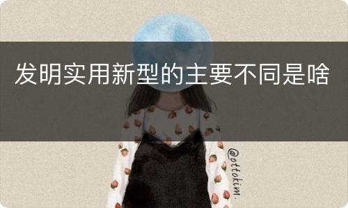 发明实用新型的主要不同是啥