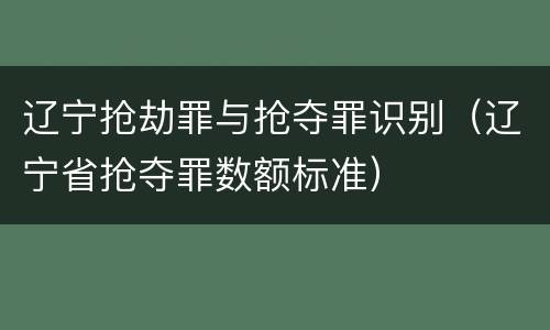 辽宁抢劫罪与抢夺罪识别（辽宁省抢夺罪数额标准）
