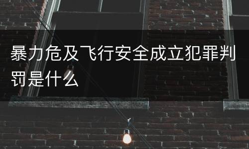 暴力危及飞行安全成立犯罪判罚是什么