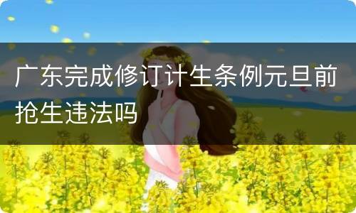 广东完成修订计生条例元旦前抢生违法吗