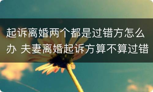 起诉离婚两个都是过错方怎么办 夫妻离婚起诉方算不算过错方