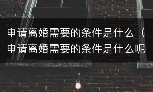 申请离婚需要的条件是什么（申请离婚需要的条件是什么呢）