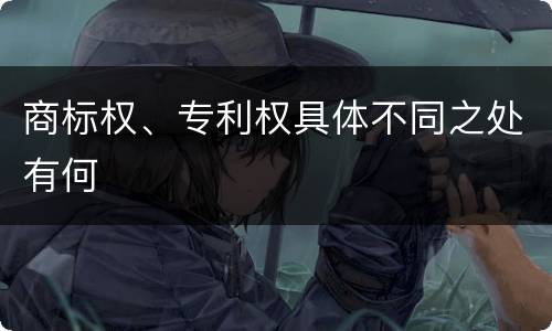 商标权、专利权具体不同之处有何