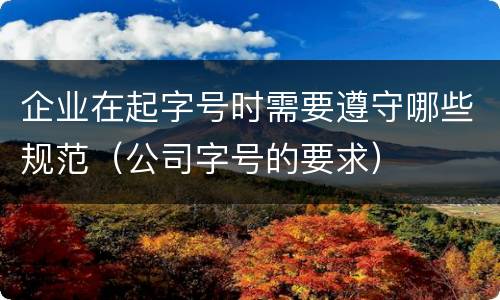 企业在起字号时需要遵守哪些规范（公司字号的要求）