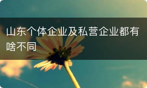 山东个体企业及私营企业都有啥不同