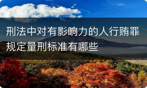 刑法中对有影响力的人行贿罪规定量刑标准有哪些