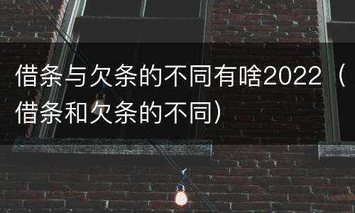 借条与欠条的不同有啥2022（借条和欠条的不同）