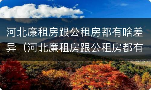 河北廉租房跟公租房都有啥差异（河北廉租房跟公租房都有啥差异吗）