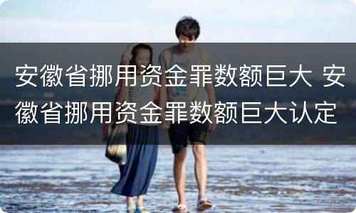 安徽省挪用资金罪数额巨大 安徽省挪用资金罪数额巨大认定标准