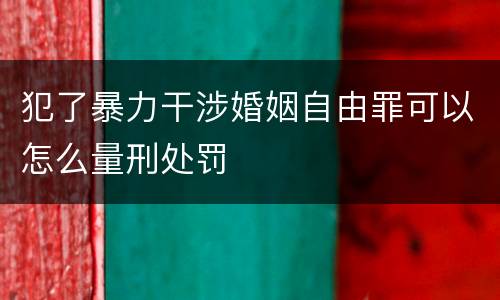 犯了暴力干涉婚姻自由罪可以怎么量刑处罚