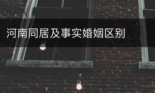 河南同居及事实婚姻区别