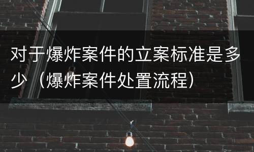 对于爆炸案件的立案标准是多少（爆炸案件处置流程）