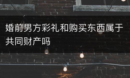 婚前男方彩礼和购买东西属于共同财产吗