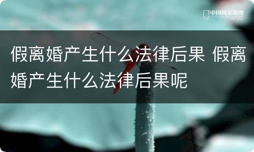 假离婚产生什么法律后果 假离婚产生什么法律后果呢