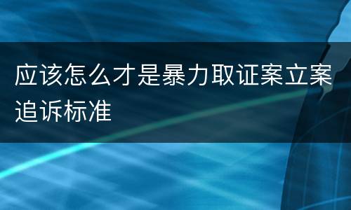 应该怎么才是暴力取证案立案追诉标准