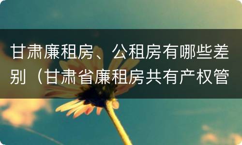 甘肃廉租房、公租房有哪些差别（甘肃省廉租房共有产权管理办法）