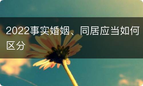 2022事实婚姻、同居应当如何区分
