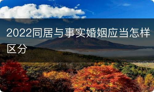 2022同居与事实婚姻应当怎样区分