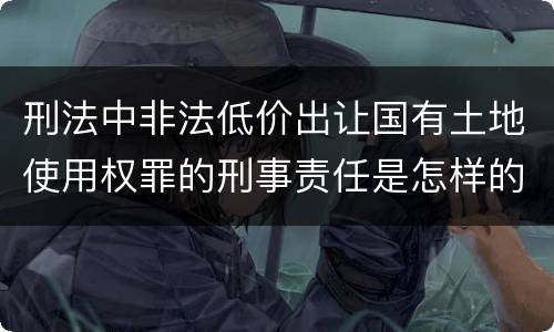 刑法中非法低价出让国有土地使用权罪的刑事责任是怎样的