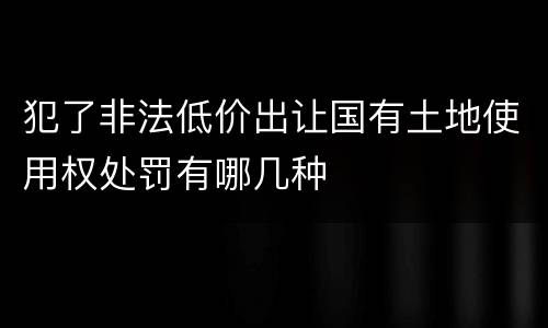 犯了非法低价出让国有土地使用权处罚有哪几种