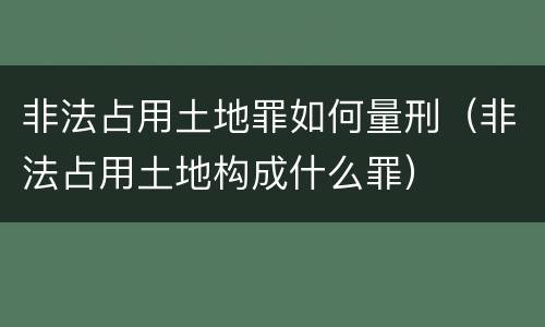 非法占用土地罪如何量刑（非法占用土地构成什么罪）