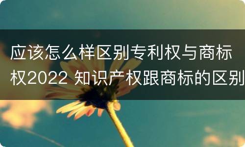 应该怎么样区别专利权与商标权2022 知识产权跟商标的区别