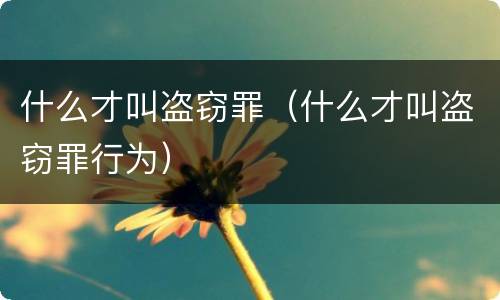什么才叫盗窃罪（什么才叫盗窃罪行为）