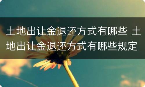 土地出让金退还方式有哪些 土地出让金退还方式有哪些规定