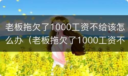 老板拖欠了1000工资不给该怎么办（老板拖欠了1000工资不给该怎么办呢）