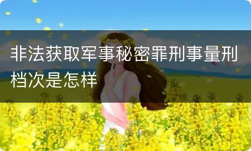 非法获取军事秘密罪刑事量刑档次是怎样