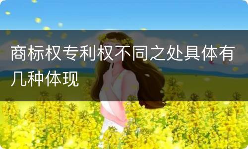 商标权专利权不同之处具体有几种体现